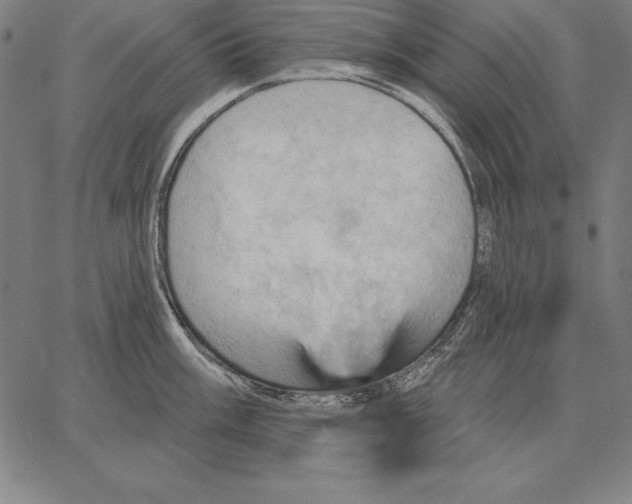 X0000066091003200604071752