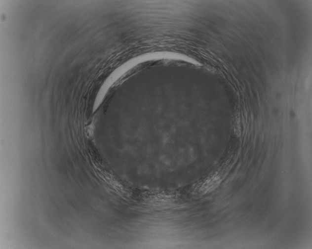 X0000066091010200604071751