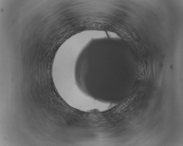 X0000066091013200604071751