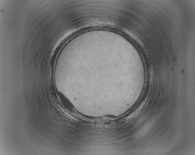 X0000066091021200604071751