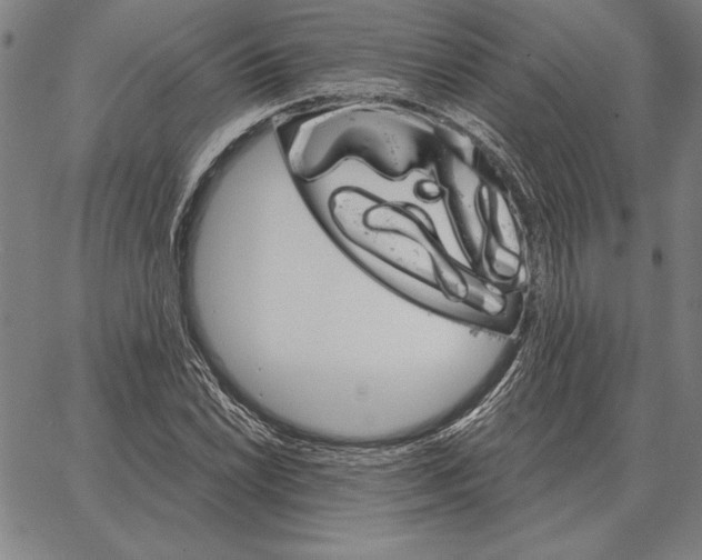 X0000066091022200604071751