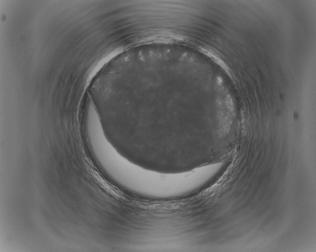 X0000066091026200604071751