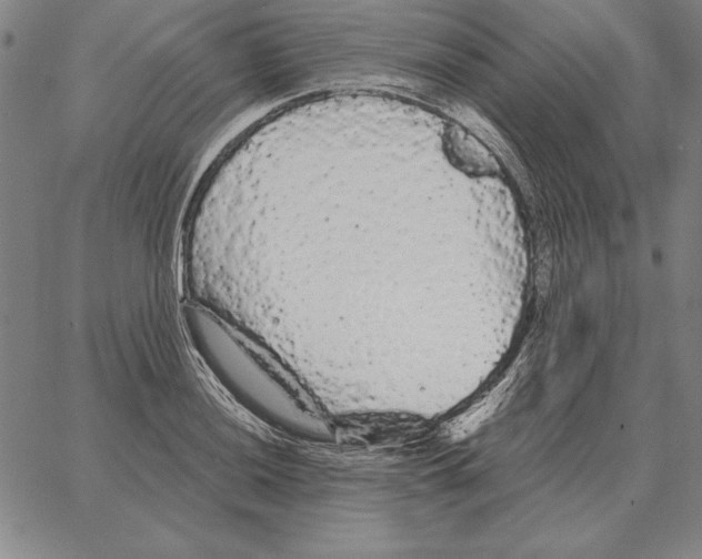 X0000066091036200604071752