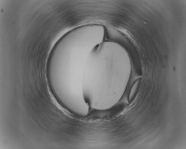 X0000066091038200604071752