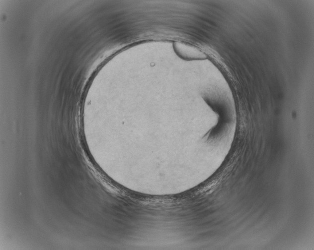 X0000066091040200604071752