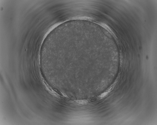 X0000066091044200604071752