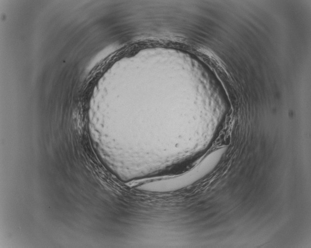 X0000066091064200604071751