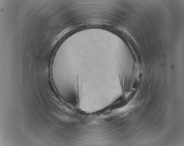 X0000066091065200604071751