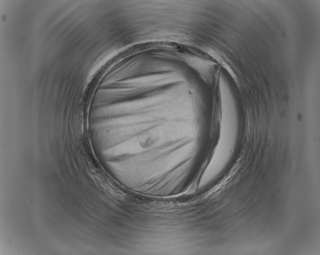 X0000066091069200604071751