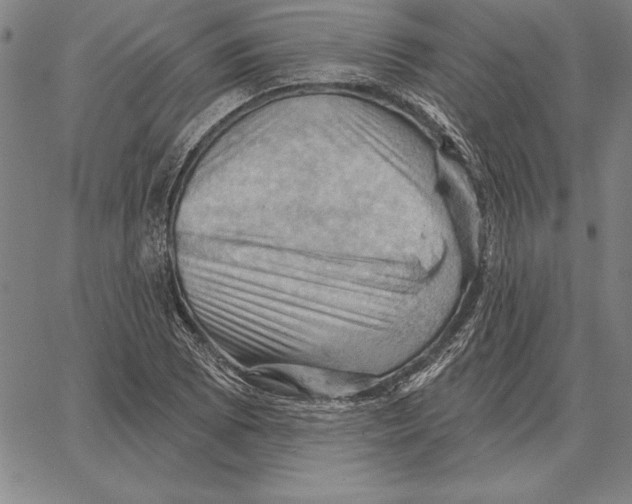 X0000066091073200604071751
