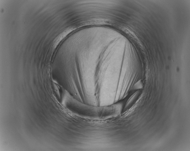 X0000066091081200604071751