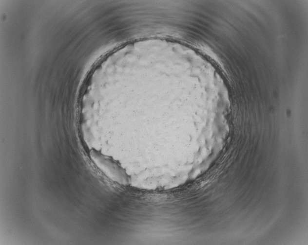 X0000066091088200604071751