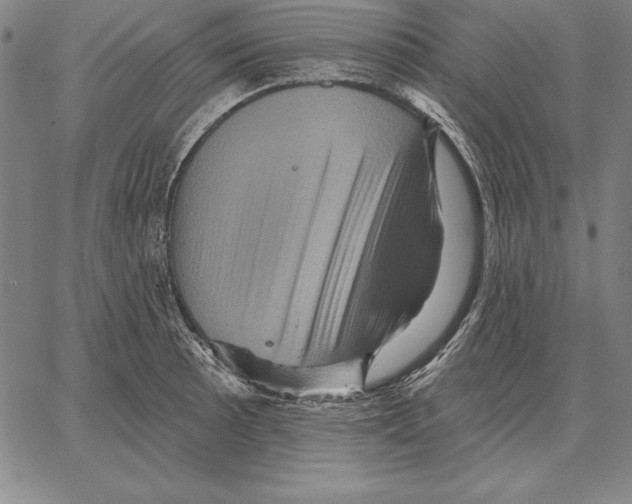X0000066091089200604071751