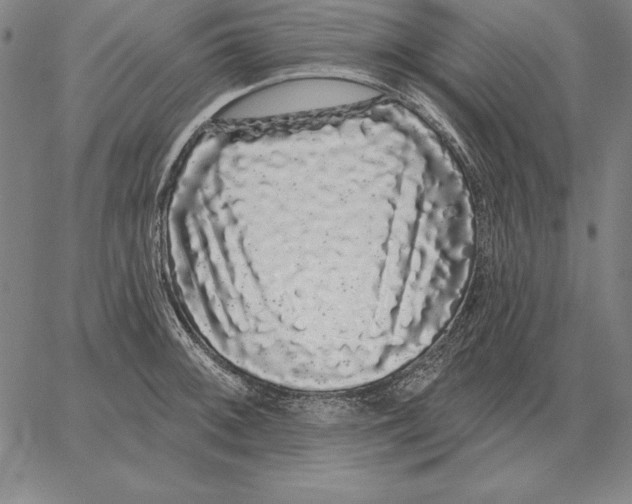 X0000066091092200604071751
