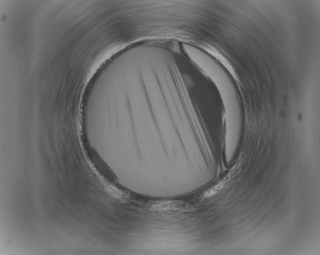 X0000066091093200604071751