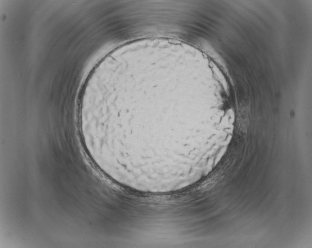 X0000066091096200604071750
