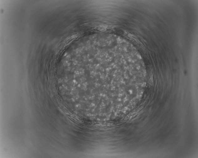 X0000066091105200604071750