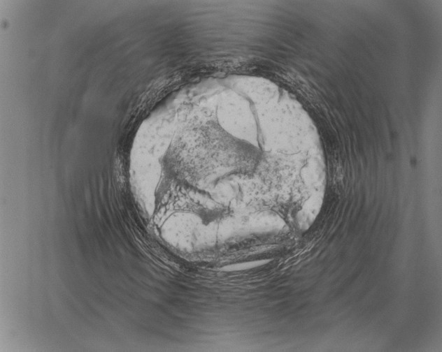 X0000066091106200604071750