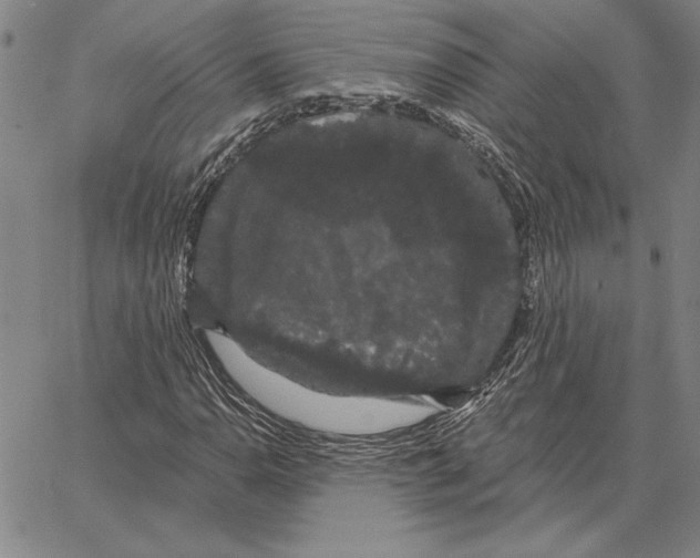 X0000066091110200604071750