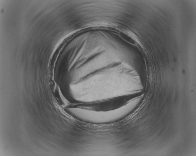 X0000066091116200604071750