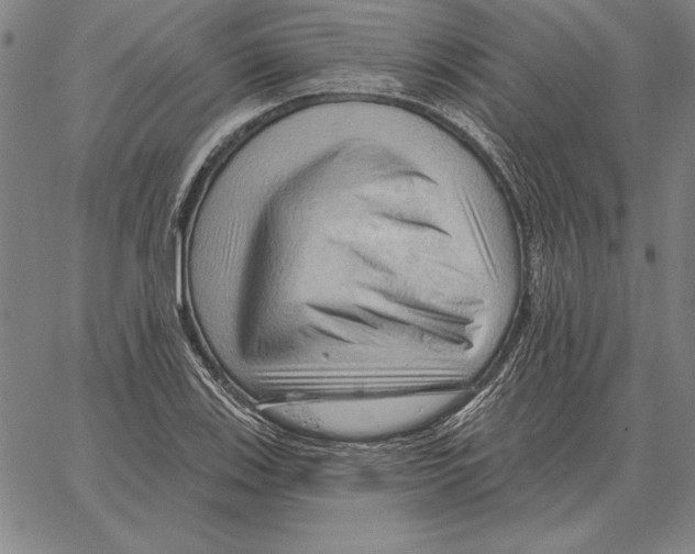 X0000066091123200604071750