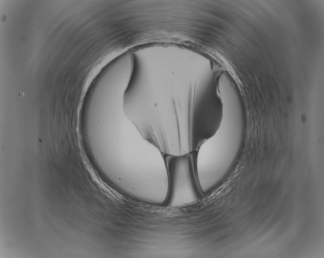 X0000066091128200604071750