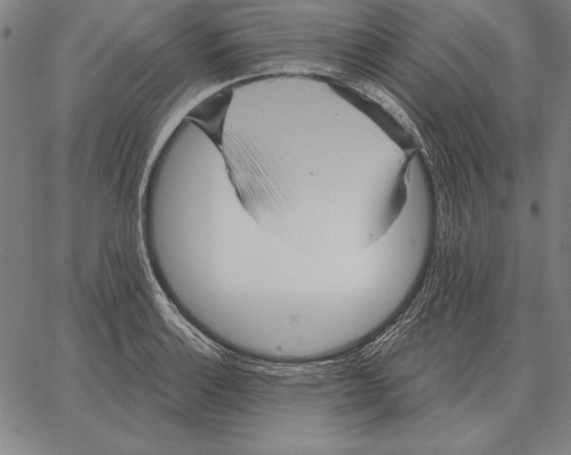 X0000066091132200604071750