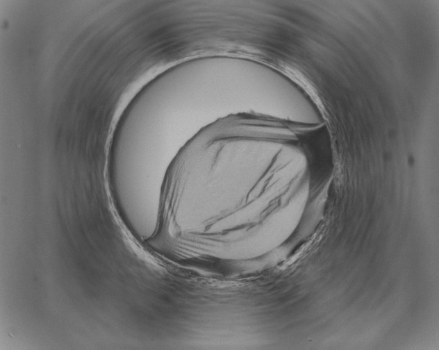 X0000066091136200604071750