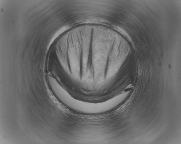 X0000066091138200604071750