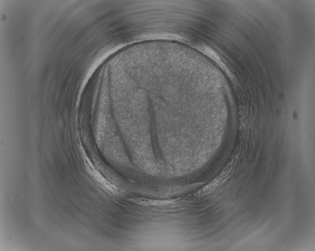 X0000066091140200604071750