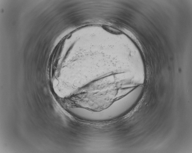X0000066091141200604071750