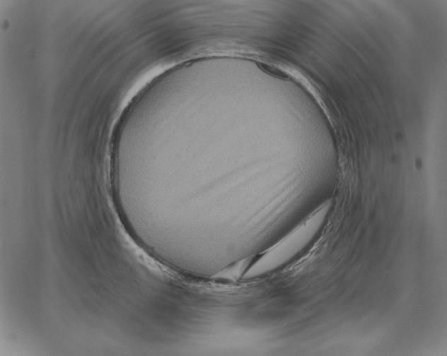 X0000066091147200604071750