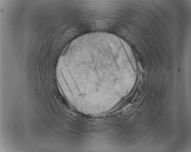 X0000066091153200604071750