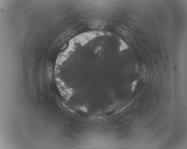 X0000066091154200604071750