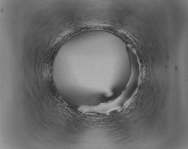 X0000066091157200604071749