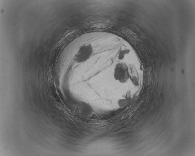 X0000066091158200604071749