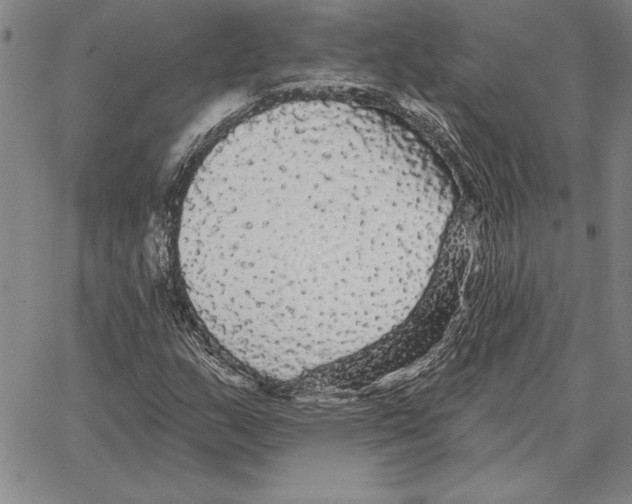 X0000066091159200604071749