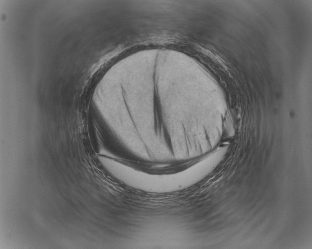 X0000066091160200604071749