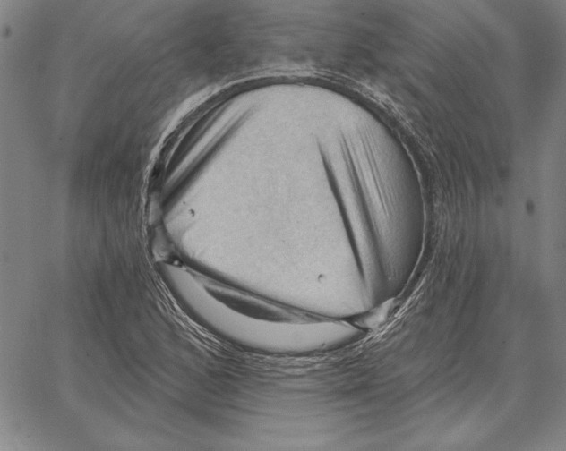 X0000066091168200604071749