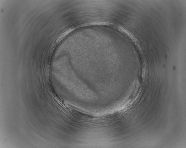 X0000066091169200604071749