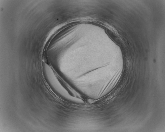 X0000066091176200604071749