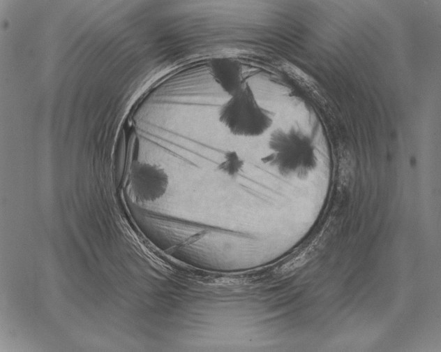 X0000066091178200604071749