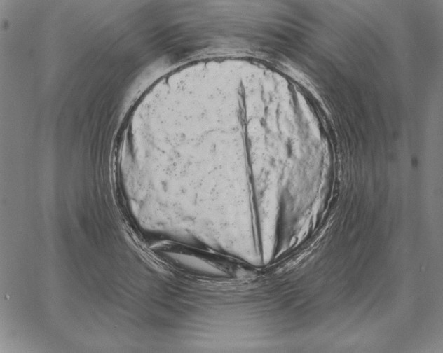 X0000066091179200604071749