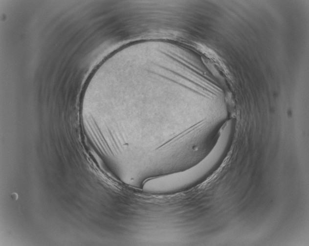 X0000066091184200604071749