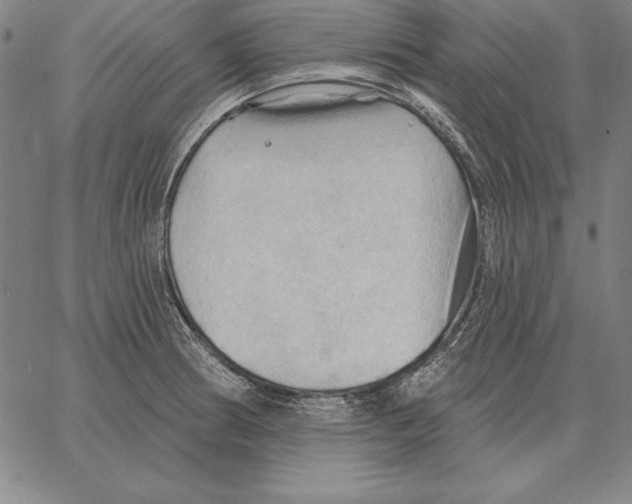 X0000066091186200604071749