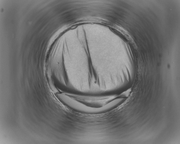 X0000066091188200604071749