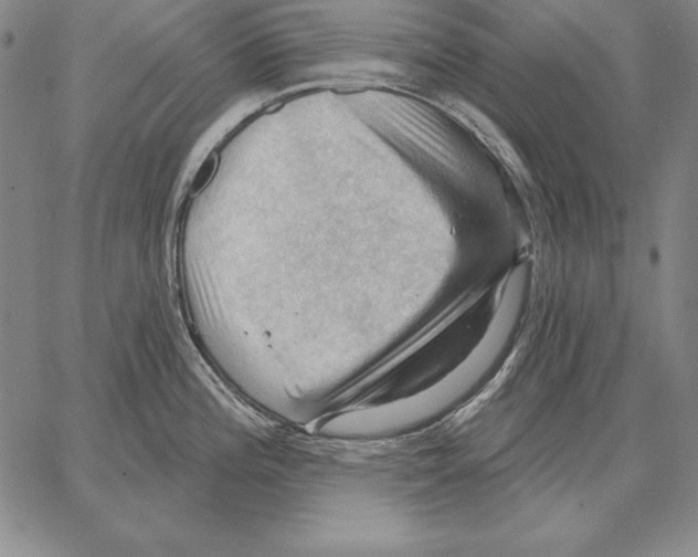 X0000066091196200604071749
