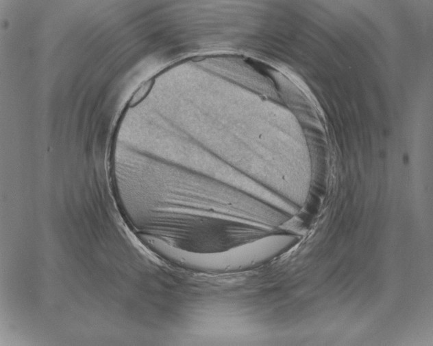 X0000066091197200604071749