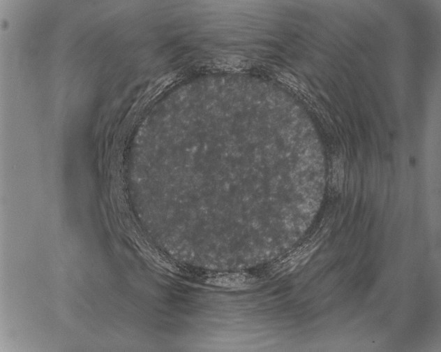 X0000066091201200604071748