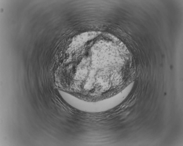 X0000066091202200604071748